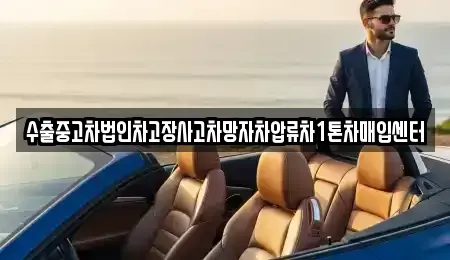 충청남도 청양군 정산면 중고차 전문 수출중고차법인차고장사고차망자차압류차1톤차매입센터