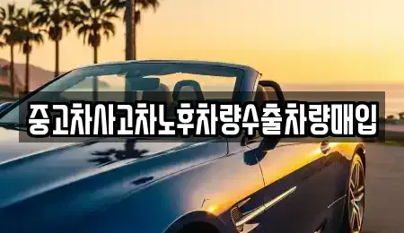 충청남도 청양군 정산면 중고차 전문 중고차사고차노후차량수출차량매입
