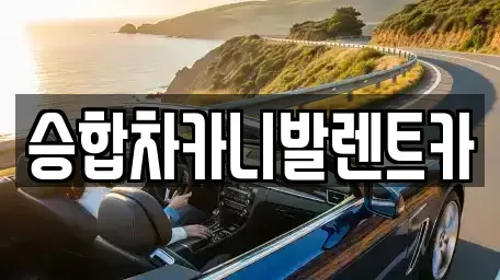 충청북도 옥천군 군서면 렌트카 전문 승합차카니발렌트카