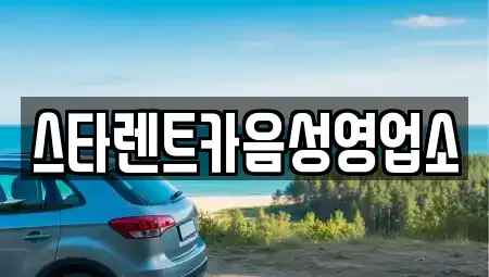 충청북도 음성군 음성읍 렌트카 전문 스타렌트카음성영업소