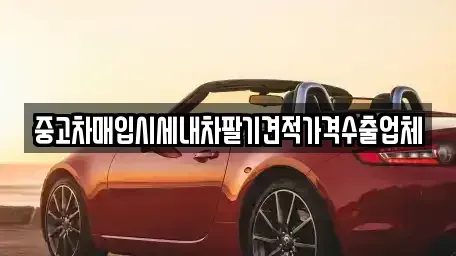 충청북도 음성군 음성읍 중고차매입 전문 중고차매입시세내차팔기견적가격수출업체