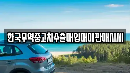 충청북도 음성군 음성읍 중고차매입 전문 한국무역중고차수출매입매매판매시세