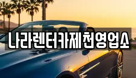 충청북도 제천시 신백동 렌트카 전문 나라렌터카제천영업소