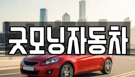 충청북도 제천시 신백동 중고차 전문 굿모닝자동차