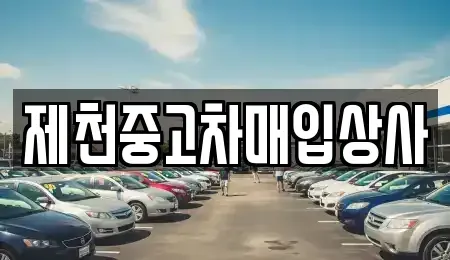 충청북도 제천시 신백동 중고차매입 전문 제천중고차매입상사