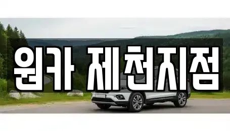 충청북도 제천시 하소동 렌트카 전문 원카 제천지점