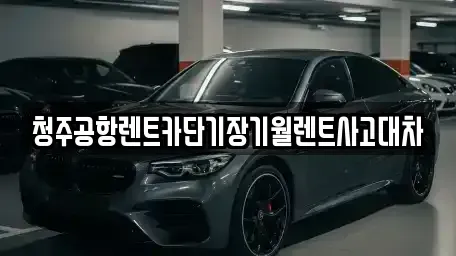 충청북도 청주시 상당구 금천동 단기렌트카 전문 청주공항렌트카단기장기월렌트사고대차