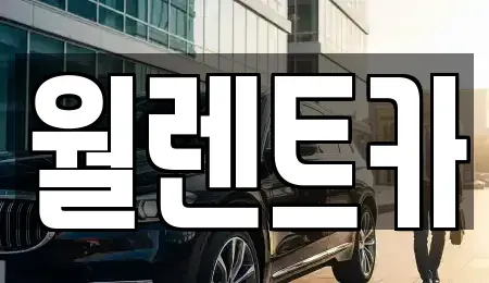 충청북도 청주시 상당구 금천동 렌트카 전문 월렌트카