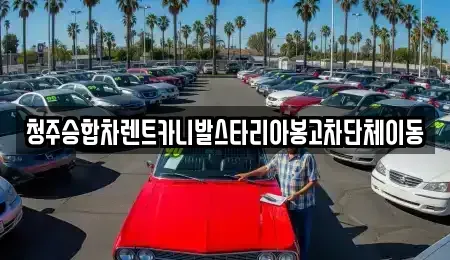 충청북도 청주시 상당구 금천동 렌트카 전문 청주승합차렌트카니발스타리아봉고차단체이동