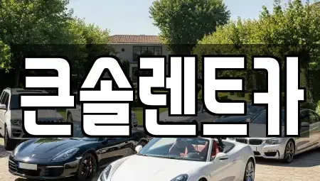 충청북도 청주시 상당구 금천동 렌트카 전문 큰솔렌트카