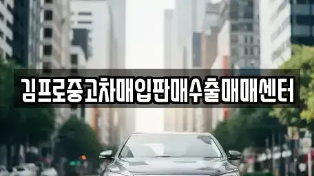 충청북도 청주시 상당구 금천동 중고차매입 전문 김프로중고차매입판매수출매매센터