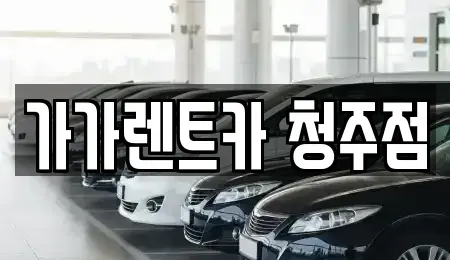 충청북도 청주시 청원구 내덕동 렌트카 전문 가가렌트카 청주점
