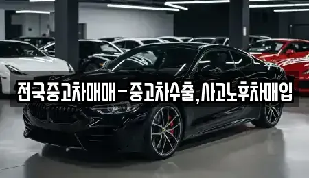 충청북도 청주시 청원구 내덕동 중고차 전문 전국중고차매매-중고차수출,사고노후차매입
