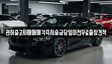 충청북도 청주시 청원구 오동동 중고차 전문 관허중고차매매매각즉시송금당일이전무료출장견적