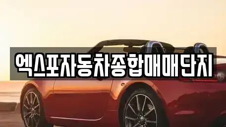 충청북도 청주시 청원구 오동동 중고차매매 전문 엑스포자동차종합매매단지
