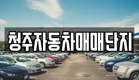 충청북도 청주시 청원구 오동동 중고차매매 전문 청주자동차매매단지