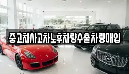 충청북도 청주시 청원구 오동동 중고차매입 전문 중고차사고차노후차량수출차량매입