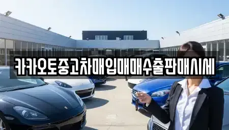 충청북도 청주시 청원구 오동동 중고차매입 전문 카카오토중고차매입매매수출판매시세