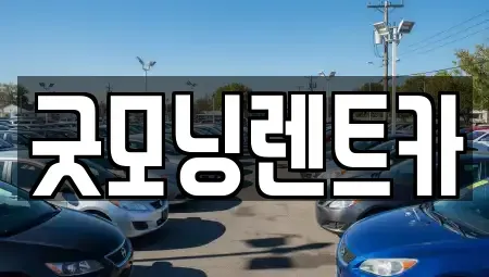 충청북도 충주시 문화동 렌트카 전문 굿모닝렌트카