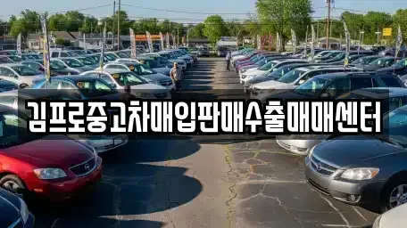 충청북도 충주시 문화동 중고차 전문 김프로중고차매입판매수출매매센터