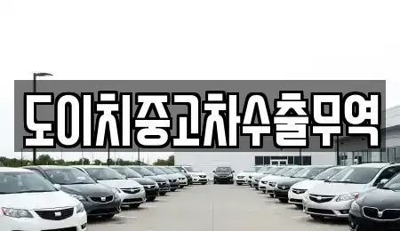 충청북도 충주시 문화동 중고차 전문 도이치중고차수출무역