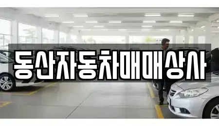 충청북도 충주시 문화동 중고차 전문 동산자동차매매상사