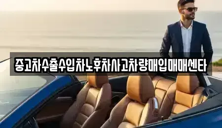 충청북도 충주시 문화동 중고차 전문 중고차수출수입차노후차사고차량매입매매센타