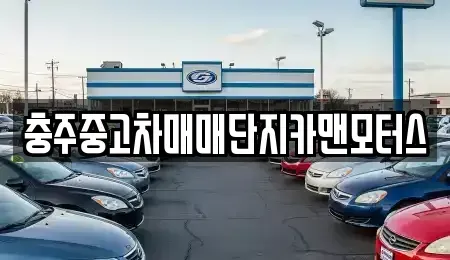 충청북도 충주시 성서동 중고차매매 전문 충주중고차매매단지카맨모터스