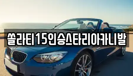 충청북도 충주시 앙성면 렌트카 전문 쏠라티15인승스타리아카니발
