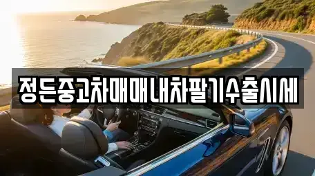 충청북도 충주시 앙성면 중고차매매 전문 정든중고차매매내차팔기수출시세