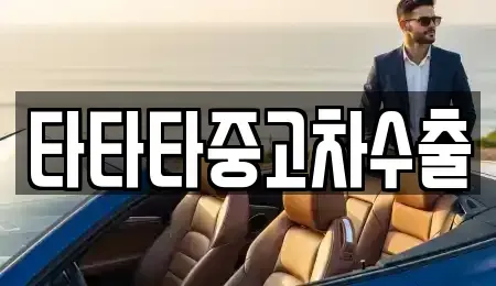 충청북도 충주시 앙성면 중고차매매 전문 타타타중고차수출