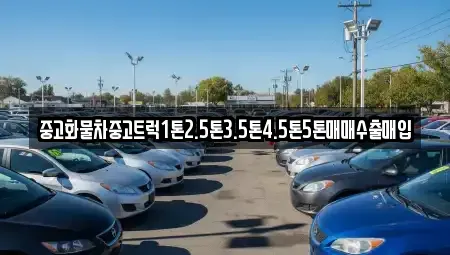 충청북도 충주시 앙성면 단기렌트카,중고차매입,중고차매매,중고차,렌트카,장기렌트카