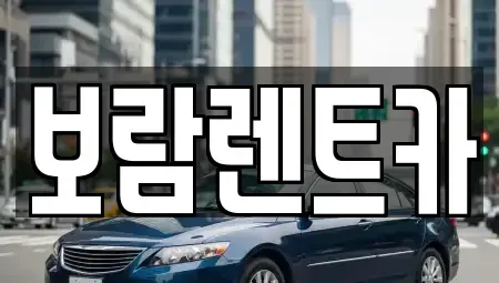 충청북도 충주시 용탄동 렌트카 전문 보람렌트카