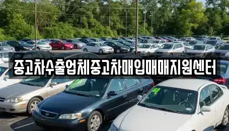 충청북도 충주시 용탄동 중고차매입 전문 중고차수출업체중고차매입매매지원센터