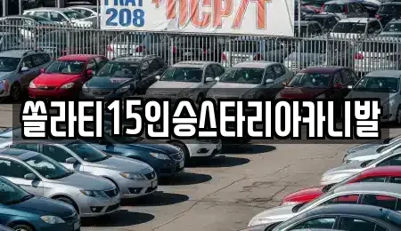 충청북도 충주시 직동 렌트카 전문 쏠라티15인승스타리아카니발