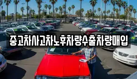 충청북도 충주시 직동 단기렌트카,중고차매입,중고차매매,중고차,렌트카,장기렌트카