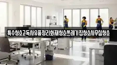 특수청소고독사유품정리화재청소쓰레기집청소사무실청소